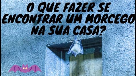 Morcego Em Casas Significado - Significado De Morcego Em Casa - NAZAEDU