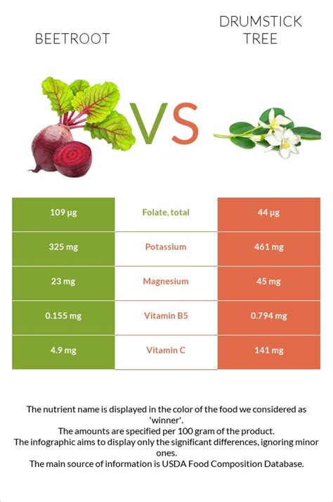 Beetroot Vs Drumstick Tree — In Depth Nutrition Comparison