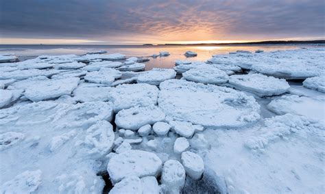 Ice Floes At The Beach Of Byske › Way Up North