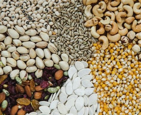 Organic vs Non-Organic Grains | A Deep Dive Guide - Bharatvarsh