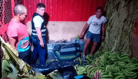 Decomisan 291 kilos de marihuana camuflados en carga de plátanos en