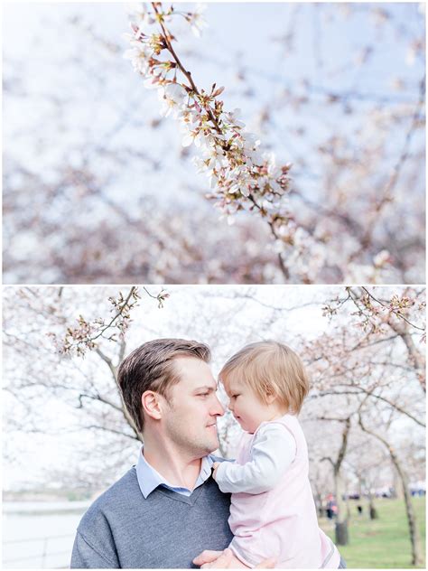 Cherry Blossoms Mini Session Showit Blog Mini Session Cherry