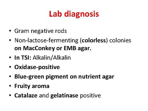 Non Lactose Fermenting Gram Negative Rods