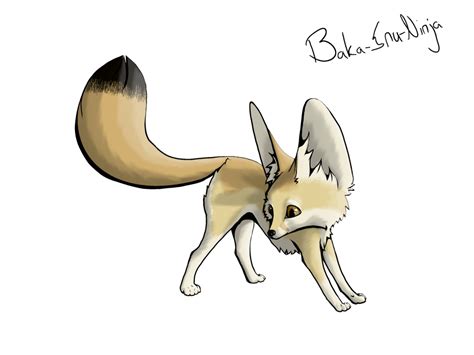 Desert Fennec Fox Drawing