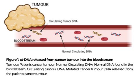 Diagnostic potential of CT-DNA | The Sheet