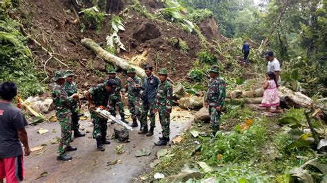 Tebing Di Piket Nol Longsor Jalur Malang Lumajang Terputus Regional