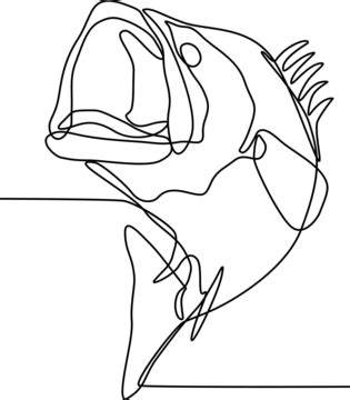 A Continuous Line Drawing Of A Jumping Largemouth Bass Widemouth Bass