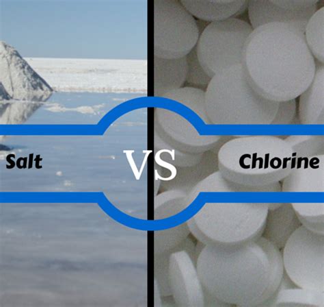 The Great Debate Chlorine Versus Salt Water For Your Central Florida Pool