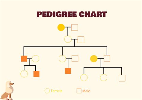 5 Generation Pedigree Chart Illustrator Pdf