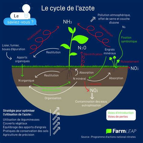 Le Cycle De LAzote En Agriculture Tout Comprendre Farmleap