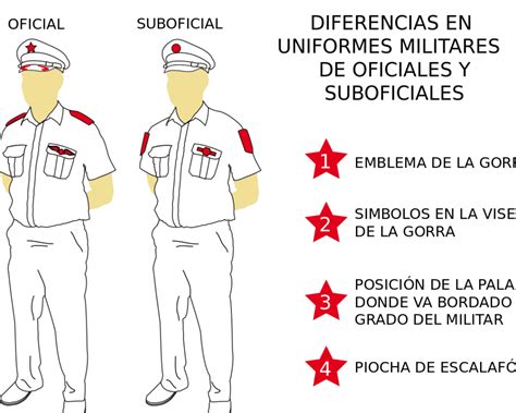 Diferencias Entre Auxiliar Administrativo Y Administrativo Del Estado