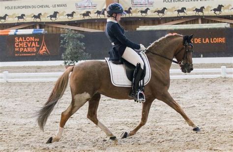 Concours De Dressage Au Club Hippique Clermontois Clermont Ferrand