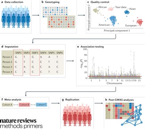 Nature Reviews Methods Primers On Twitter Check Out This Primer For