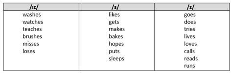 Third Person Singular Verbs List