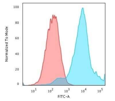 HSP27 Antibody G3 1 Azide And BSA Free NBP2 34621 Bio Techne