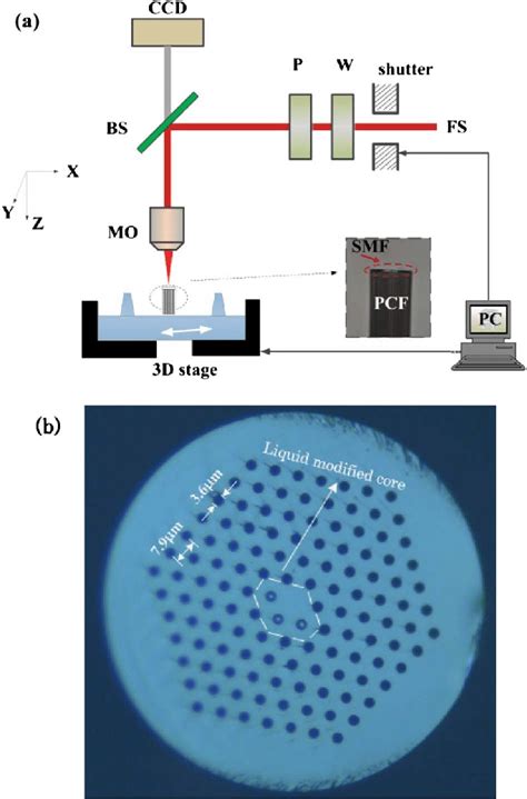 A Schematic Diagram Of The Femtosecond Laser Assisted Selective Download Scientific Diagram