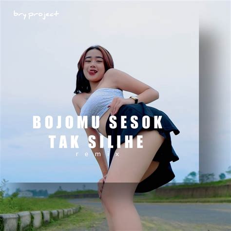 Dj Bojomu Sesok Tak Silihe Single Album By Bry Project Apple Music