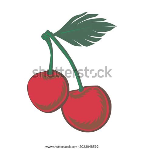 Ripe Red Cherry Berries Leaves On Stock Vector Royalty Free