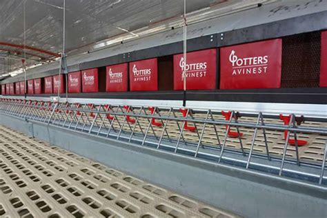 Potters Breeder Nests Potters Poultry International