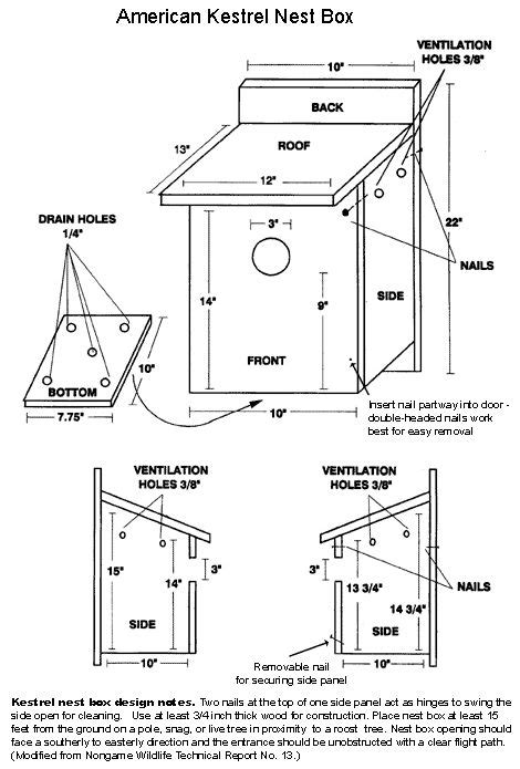 Build A Southeastern American Kestrel Nest Box More Information On