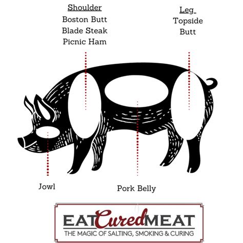 What Pork Fat To Use For Sausages Diagrams And Details Eat Cured Meat