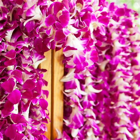 Fresh Hawaiian Orchid Leis delivered - Flower Leis as low as $9.90