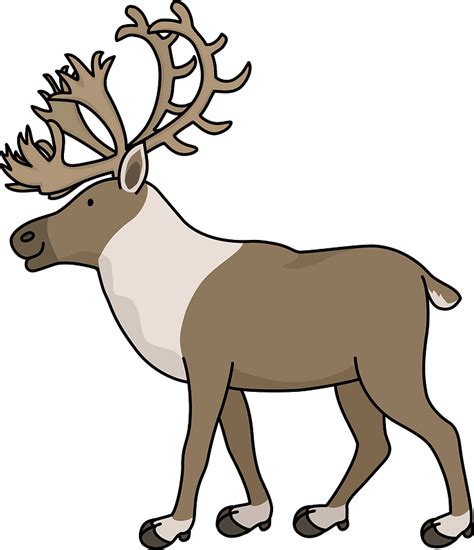 Reindeer Png Clip Art Hd Quality Png Play