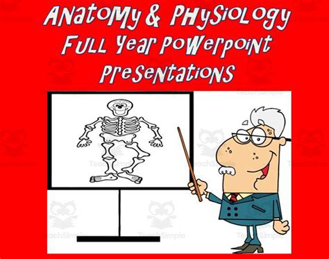 Anatomy And Physiology Powerpoint Presentations Full Year Package By