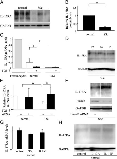 The Il 17ra Expression In Ssc Fibroblasts In Vitro A And B