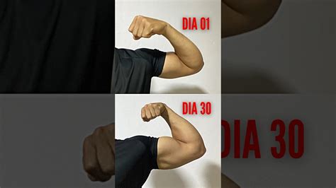 Bra Os Grandes Em Semanas Exerc Cios Caseiros Calisthenics