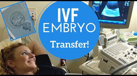 Ivf Journey Embryo Transfer Day ~ Implantation Youtube