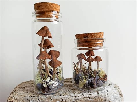 Growing Psilocybin Mushrooms In Jars