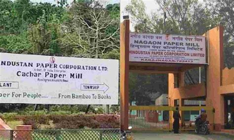 Assam Gov T Announces Relief Package For Defunct Paper Mills SabrangIndia