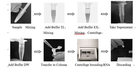 Ultrapure Total Rna Extraction Kit Forest Specialiezed In The