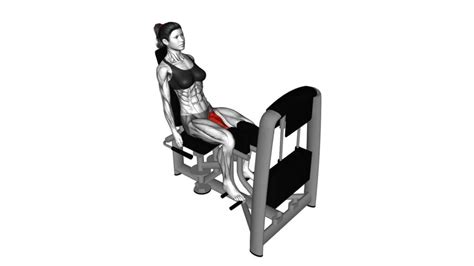 Lever Seated Hip Adduction Female Exercise Guide Tips