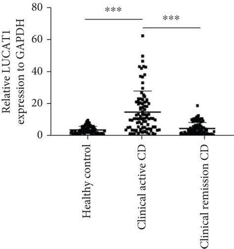 Plasma Long Noncoding Rna Lncrna Lucat Expression In The Patients