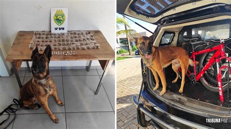 Pm Apreende Maconha Coca Na E Crack Em Local Usado Para A Venda De