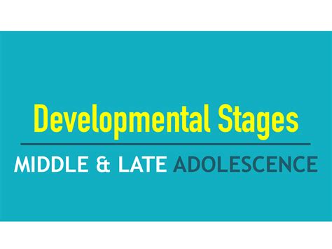 Solution C3 Developmental Stages In Middle And Late Adolescence