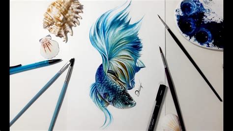 Speed Drawing BETTA FISH Aquarela Watercolor Speedpaint YouTube