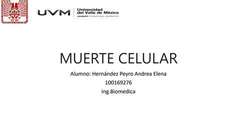 Solution Muerte Celular Apoptosis Necrosis Y Autofagia Studypool