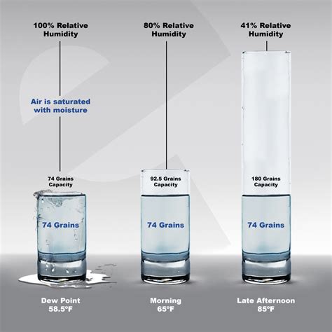 The Basic Principles Of Relative Humidity Construemax Property