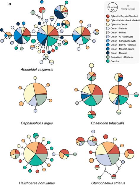 Median Joining Networks Showing Relationships Among Mitochondrial Dna