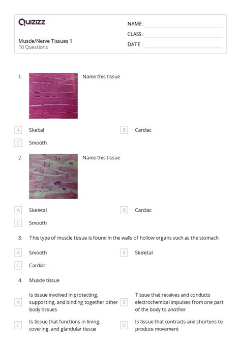 Tissues Worksheets For Th Class On Quizizz Free Printable