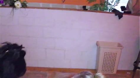 Vid Os Black Women Xvideos