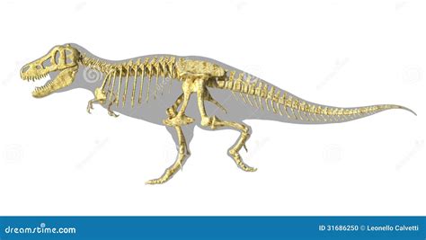 T Rex Dinosaur Photo Realistic Full Skeleton Side View With Body