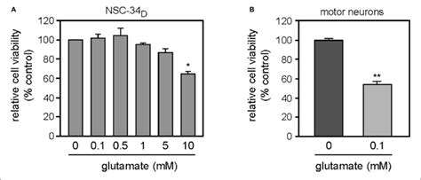 A Effects Of Glutamate On NSC 34 D Cell Cultured In DMEM Ham S F12