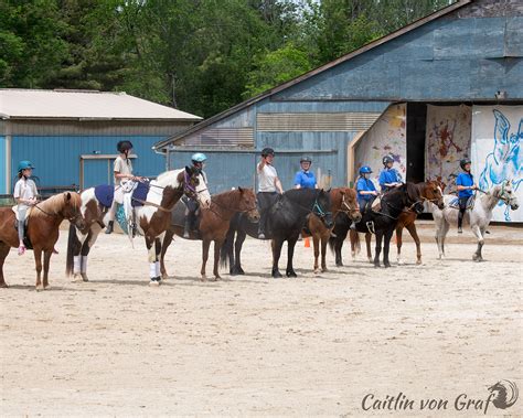 Blue Rider Stables Blue Rider Stables