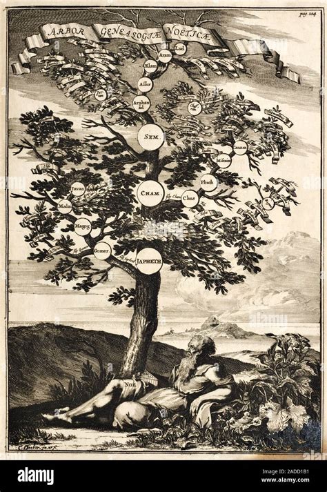 Noah's family tree. 17th-century depiction of the family tree of the ...