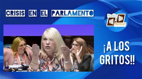 Escandalo En El Senado Graciela Bianchi A Los Gritos TensÓ Dia En El Parlamento Suscribite