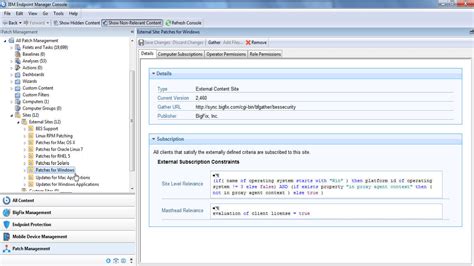 IBM BigFix METROCONNECT